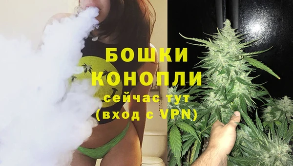 крисы Покачи